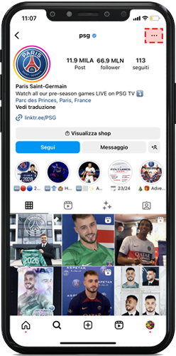 visualizzatore di storie instagram in anonimo online Save Insta